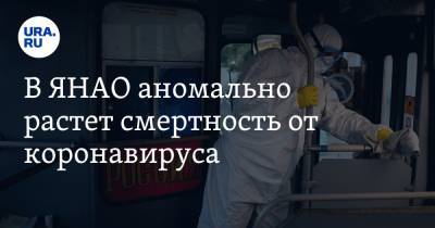 В ЯНАО аномально растет смертность от коронавируса - ura.news - Ноябрьск - окр. Янао