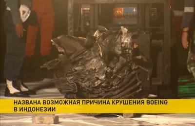 Крушение самолета в Индонезии: стала известна возможная причина – удар о воду - ont.by - Индонезия - Джакарта