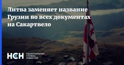 Литва заменяет название Грузии во всех документах на Сакартвело - nsn.fm - Грузия - Литва - Вильнюс