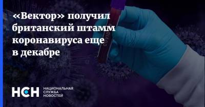 «Вектор» получил британский штамм коронавируса еще в декабре - nsn.fm - Англия