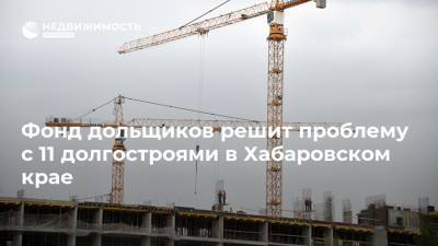 Фонд дольщиков решит проблему с 11 долгостроями в Хабаровском крае - realty.ria.ru - Москва - Хабаровский край - Строительство