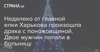 Недалеко от главной елки Харькова произошла драка с поножовщиной. Двое мужчин попали в больницу - strana.ua - Харьковская обл.