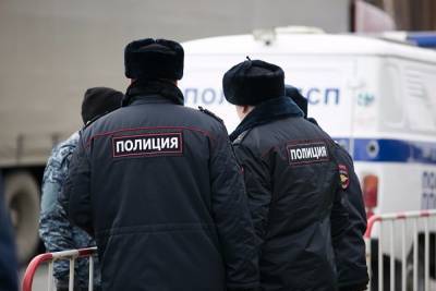В Петербурге двое мужчин избили полицейских их же дубинками - znak.com - Санкт-Петербург - Приморье край
