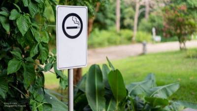 Ринат Еникеев - В России планируют выпускать самозатухающие сигареты - nation-news.ru - Таможенный Союз