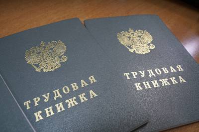 Работодателям хотят упростить ведение трудовых книжек - pnp.ru