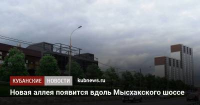 Новая аллея появится вдоль Мысхакского шоссе - kubnews.ru - Новороссийск - Благоустройство