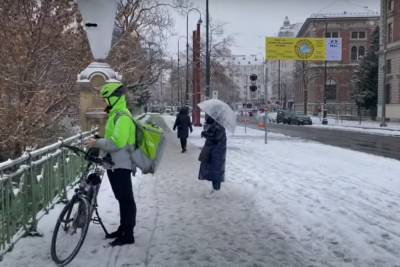"На дворе зима, в воздухе уже весна": в Украине распустились первоцветы, фото аномалии - sport.politeka.net