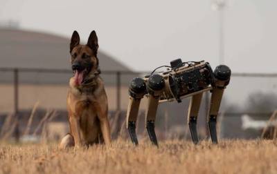 В США военные испытывают робособак Ghost Robotics - korrespondent.net - США - шт. Иллинойс