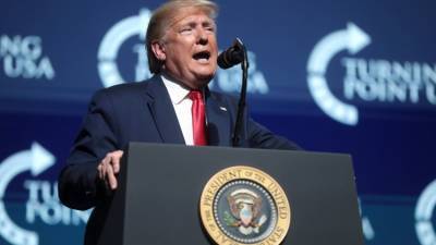 Дональд Трамп - Сергей Михеев - Михеев: Путин на корню пресек ошибку Трампа - polit.info - Россия - США