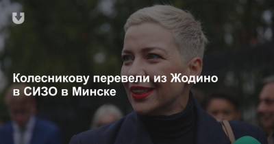 Мария Колесникова - Виктор Бабарико - Людмила Казак - Колесникову перевели из Жодино в СИЗО в Минске - news.tut.by - Минск