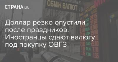 Доллар резко опустили после праздников. Иностранцы сдают валюту под покупку ОВГЗ - strana.ua
