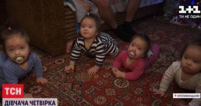 Четверне из Кропивницкого исполнилось 10 месяцев: как родители справляются с малышами - tsn.ua