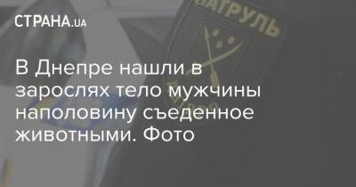 В Днепре нашли в зарослях тело мужчины наполовину съеденное животными. Фото - strana.ua - Днепр