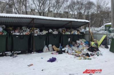 Хабкрай в новогодние праздники столкнулся с проблемой вывоза мусора - hab.aif.ru - Хабаровский край - Комсомольск-На-Амуре
