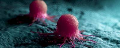 принцесса Маргарет - Раковые клетки могут «впадать в спячку» под воздействием химиотерапии - runews24.ru - Канада
