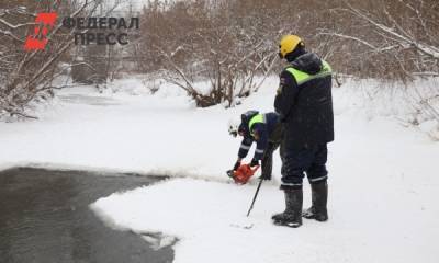 Спасатели второй раз в новом году помогли кемеровским уткам - fedpress.ru - Кемерово