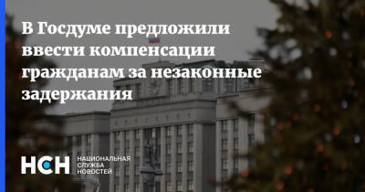 Наталья Костенко - В Госдуме предложили ввести компенсации гражданам за незаконные задержания - nsn.fm
