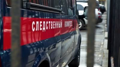 СК начал проверку после крупного пожара в природном парке в Приморье - russian.rt.com - Приморье край