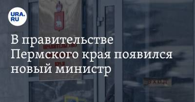 В правительстве Пермского края появился новый министр - ura.news - Пермский край