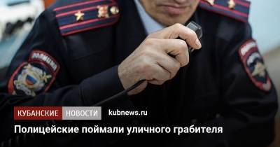 Полицейские поймали уличного грабителя - kubnews.ru - Москва - район Тимашевский