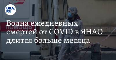 Волна ежедневных смертей от COVID в ЯНАО длится больше месяца - ura.news - Ноябрьск - Салехард - окр. Янао