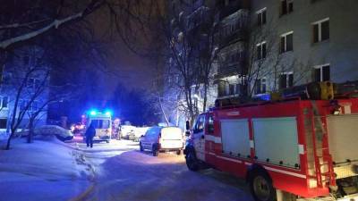 Япония - Восемь погибших при пожаре в жилом доме в Екатеринбурге - ru.euronews.com - Россия - США - Екатеринбург
