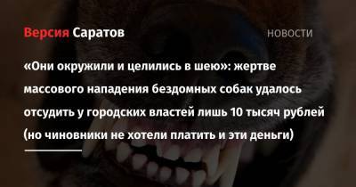«Они окружили и целились в шею»: жертве массового нападения бездомных собак удалось отсудить у городских властей лишь 10 тысяч рублей (но чиновники не хотели платить и эти деньги) - nversia.ru - Саратов