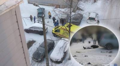 МЧС предупреждало: толпа ярославцев собралась вокруг обледеневшего трупа - progorod76.ru - Ярославль
