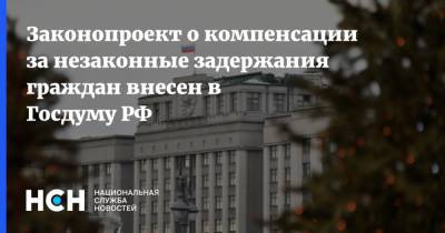 Наталья Костенко - Законопроект о компенсации за незаконные задержания граждан внесен в Госдуму РФ - nsn.fm