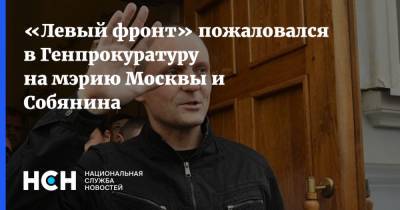 Сергей Удальцов - «Левый фронт» пожаловался в Генпрокуратуру на мэрию Москвы и Собянина - nsn.fm - Москва