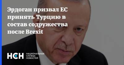 Реджеп Тайип Эрдоган - Тайип Эрдоган - Эрдоган призвал ЕС принять Турцию в состав содружества после Brexit - nsn.fm - Англия - Турция - Брюссель