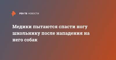 Медики пытаются спасти ногу школьнику после нападения на него собак - ren.tv - Улан-Удэ