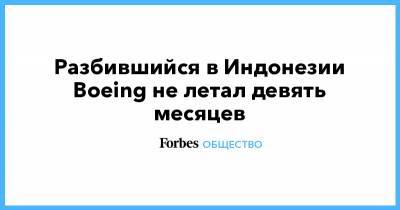 Разбившийся в Индонезии Boeing не летал девять месяцев - forbes.ru - Индонезия
