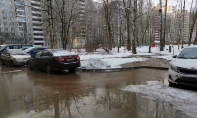 Водоканал ликвидирует последствия прорыва трубы на улице Академика Байкова - neva.today - Санкт-Петербург - район Калининский