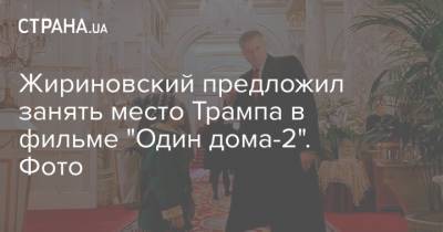 Дональд Трамп - Владимир Жириновский - Джо Байден - Жириновский предложил занять место Трампа в фильме "Один дома-2". Фото - strana.ua - США - Нью-Йорк