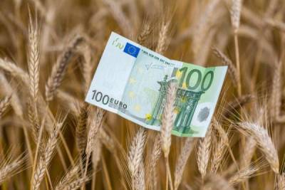 Эдуард Зернин - Экспортная пошлина на российскую пшеницу может вырасти вдвое - eadaily.com