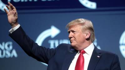 Мария Базарева - Жители Флориды увидели слово "Трамп" на спине ламантина - nation-news.ru - USA - шт.Флорида