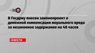 Наталья Костенко - В Госдуму внесен законопроект о денежной компенсации морального вреда за незаконное задержание на 48 часов - echo.msk.ru