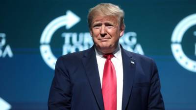 Дональд Трамп - Трамп удивился количеству негатива от IT-корпораций - nation-news.ru - США