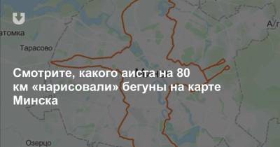 Смотрите, какого аиста на 80 км «нарисовали» бегуны на карте Минска - news.tut.by - Минск