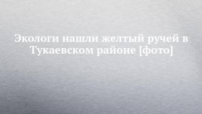 Экологи нашли желтый ручей в Тукаевском районе [фото] - chelny-izvest.ru - район Тукаевский