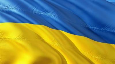 Олег Соскин - Экономист Соскин: Украину накроет «девятый вал» в 2021 году - riafan.ru - Киев