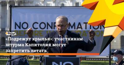 Дональд Трамп - Чак Шумер - «Подрежут крылья»: участникам штурма Капитолия могут запретить летать - ridus.ru - США