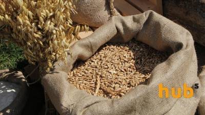 Украина сократила экспорт пшеницы и кукурузы - hubs.ua