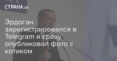 Реджеп Тайип Эрдоган - Павел Дуров - Эрдоган зарегистрировался в Telegram и сразу опубликовал фото с котиком - strana.ua