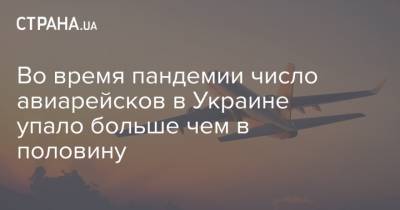 Во время пандемии число авиарейсков в Украине упало больше чем в половину - strana.ua