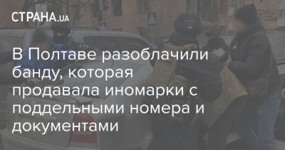 В Полтаве разоблачили банду, которая продавала иномарки с поддельными номера и документами - strana.ua - Полтава