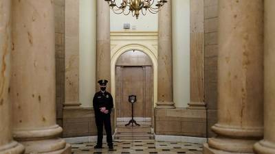 На обнаруженных у Капитолия самодельных бомбах были таймеры - iz.ru - США