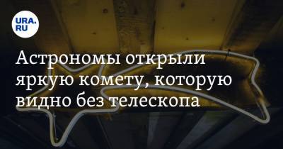 Астрономы открыли яркую комету, которую видно без телескопа - ura.news