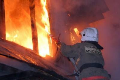 При пожаре под Новосибирском пострадали женщина и пятеро детей - aif.ru - Новосибирск - Приморье край - Новосибирская обл.